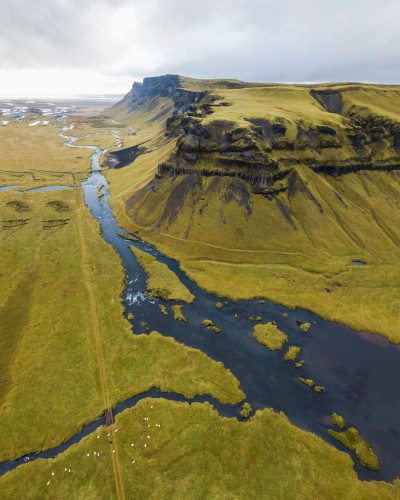 Green landscape with a few sheep